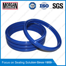 Full Size PTFE/FKM/PU/ POM/PA/NBR Hydraulic Seals